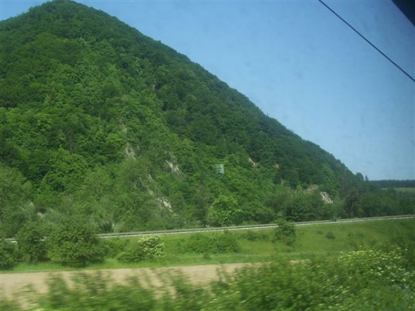 Rochovica